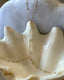 Chaine de corps white swan