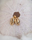 Boucle d'oreille cauris doré