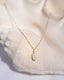 Collier cauris
