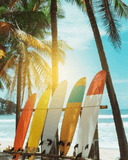 Les meilleurs spots de surf du Costa Rica