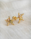 Boucle d'oreille étoile et cristal