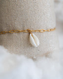 Bracelet chaine et Cauri acier inoxydable