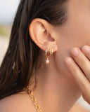 Boucle d'oreille cauris doré