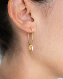 Boucle d'oreille créoles gold cauri