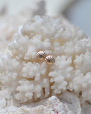 boucle oreille coquilles dorées bijou créole Jubai Swimwear Guadeloupe